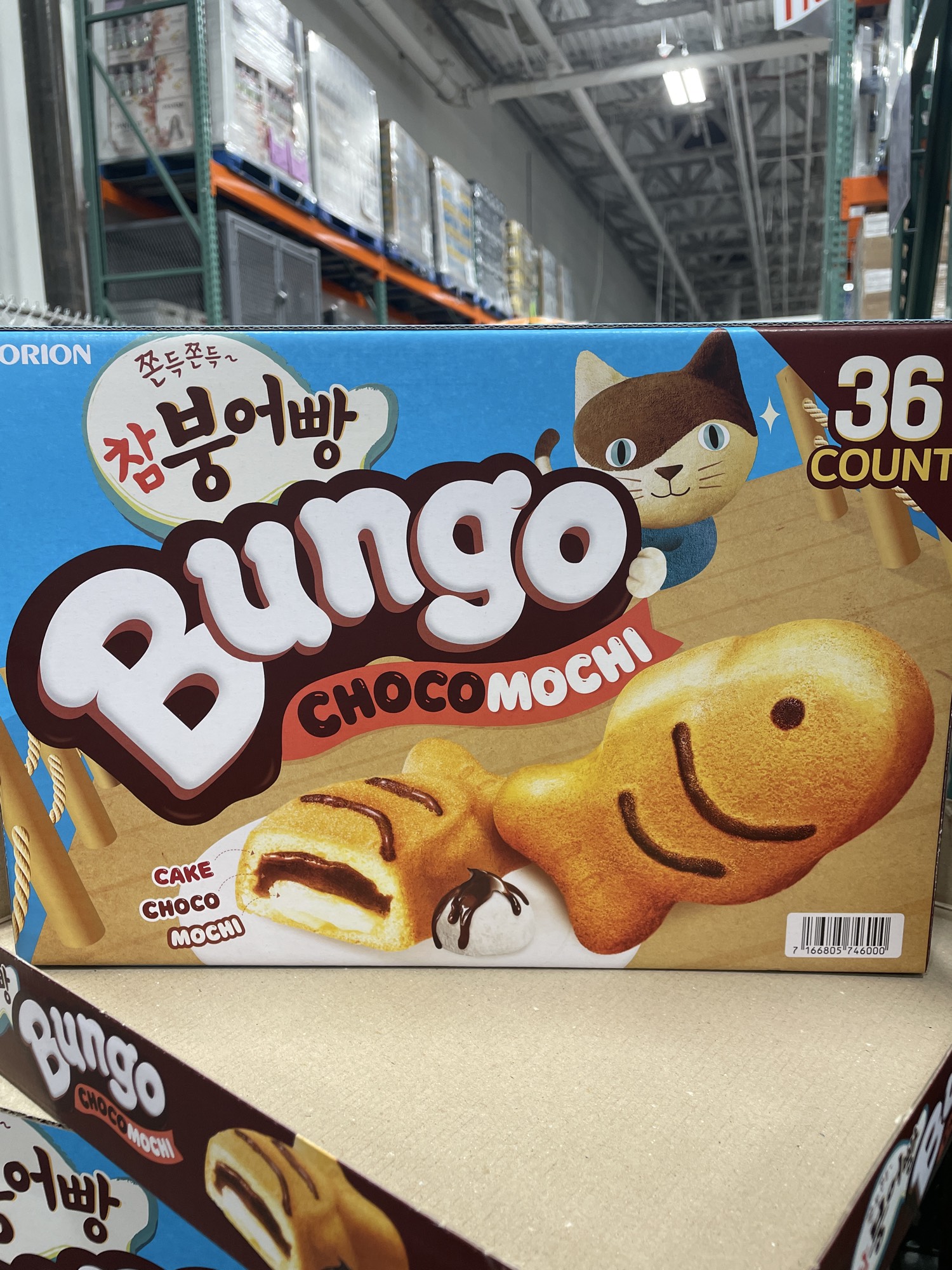 Choco Mochi