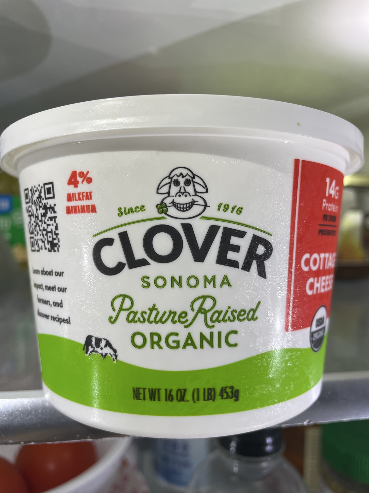 Cottage Cheese