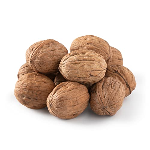 NUTS U.S. - Walnuts In Shell 6 LBS | Chandler Variety | USA Grown | Fresh