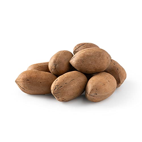 NUTS U.S. - Pecans In shell | Whole, Raw and Unsalted | No Added Flavor or Color | Fresh Buttery Taste and Easy to Crack | Natural Unshelled Pecans Packed in Resealable Bags (1 LB)