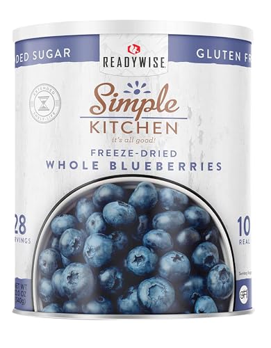 SIMPLE KITCHEN Camping and Outdoors, Freeze Dried Blueberries 28 Servings