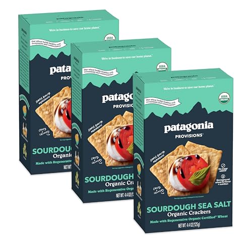 Patagonia Provisions Organic Sourdough Sea Salt Crackers (3 Pack) – 3g Plant Protein Per Serving – Made with Wheat Flour & Sea Salt – Non-GMO, No Added Sugar - Crispy & Crunchy